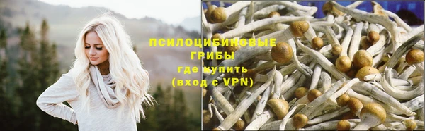 спиды Рославль