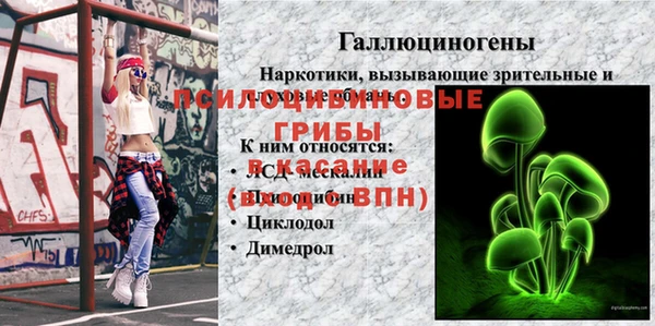 метадон Аркадак