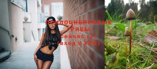 метадон Аркадак