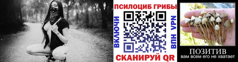 даркнет состав  Заполярный  Галлюциногенные грибы Magic Shrooms  даркнет сайт 