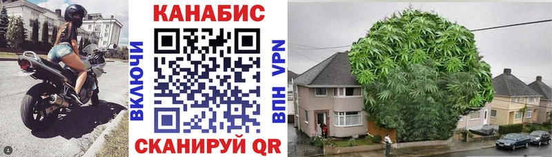 Бошки марихуана планчик  omg   Заполярный 
